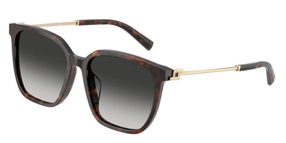 TIFFANY TF4244D 80153C 56