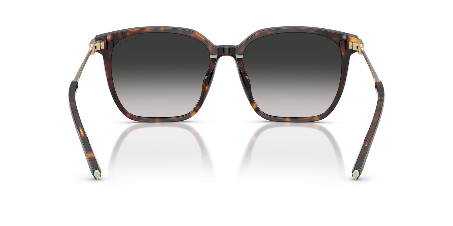 TIFFANY TF4244D 80153C 56