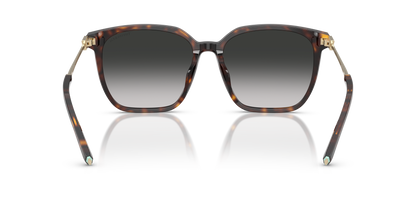 TIFFANY TF4244D 80153C 56