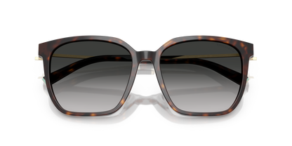 TIFFANY TF4244D 80153C 56