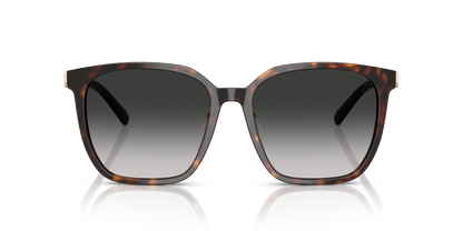 TIFFANY TF4244D 80153C 56