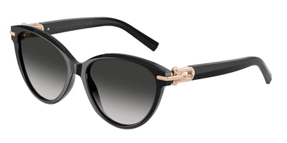 TIFFANY TF4261 80013C 56