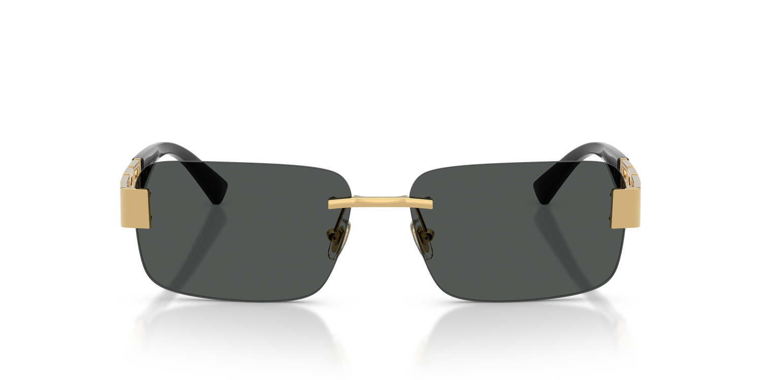 VERSACE VE2298 100287 58