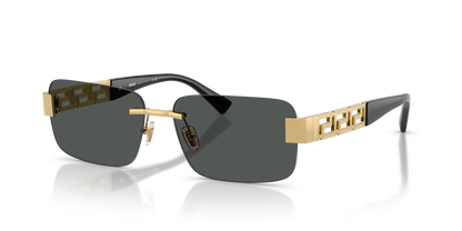 VERSACE VE2298 100287 58