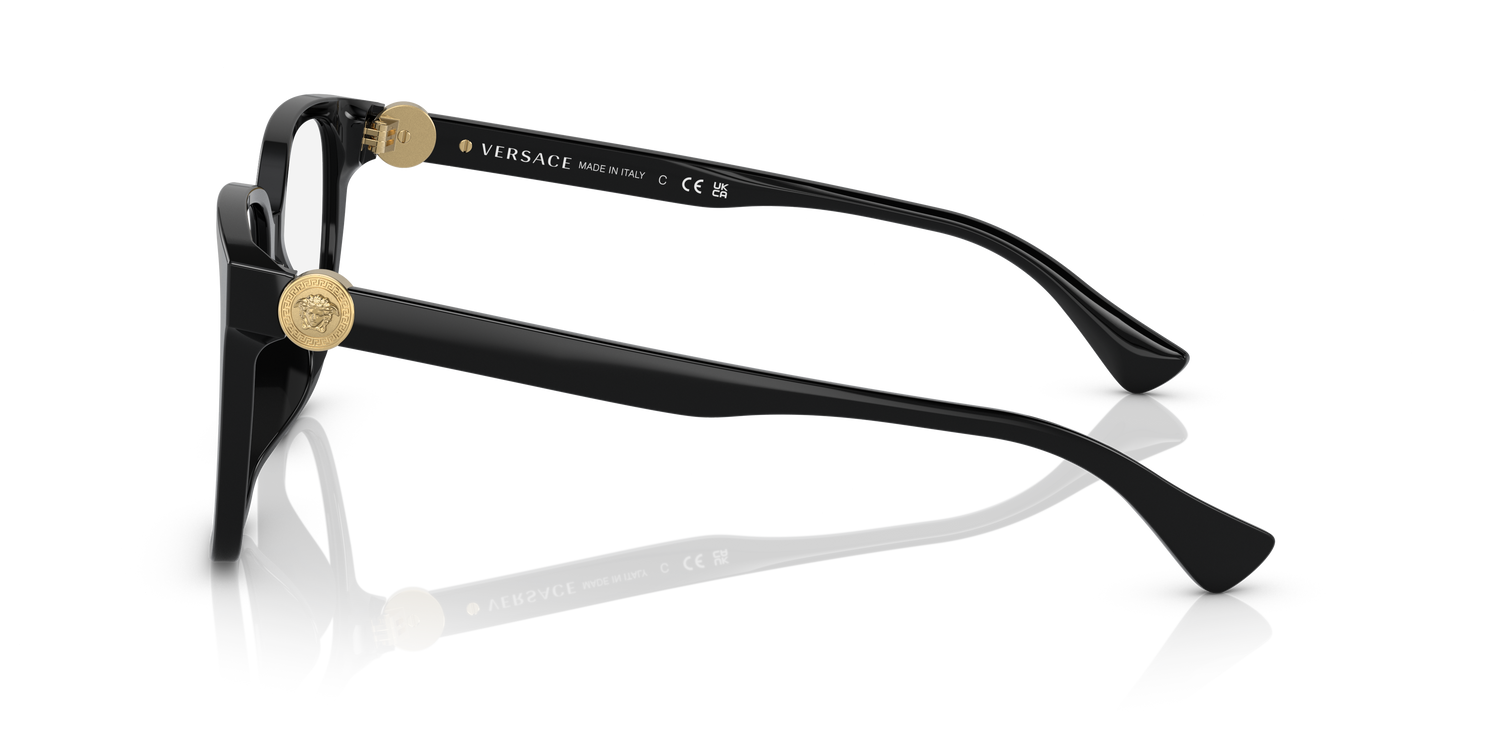 VERSACE VE3332D GB1 55