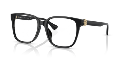 VERSACE VE3332D GB1 55