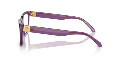 VERSACE VE3357 5464 53