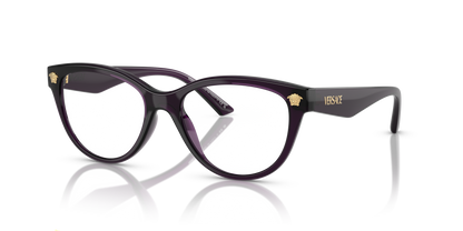 VERSACE VE3365U 5263 54