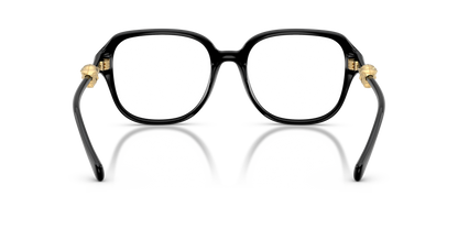 VERSACE VE3386D GB1 55