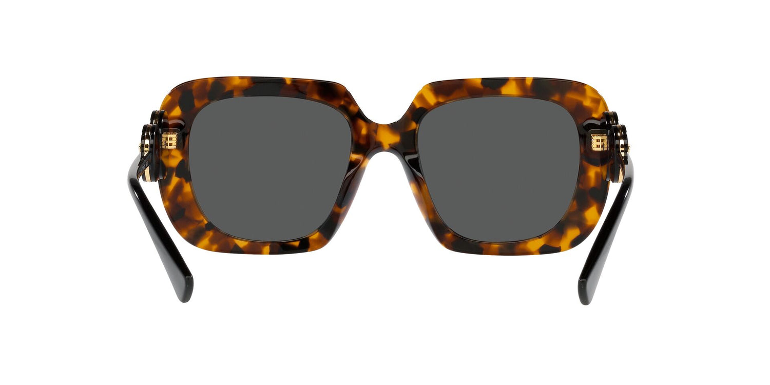 VERSACE VE4434 511987 54