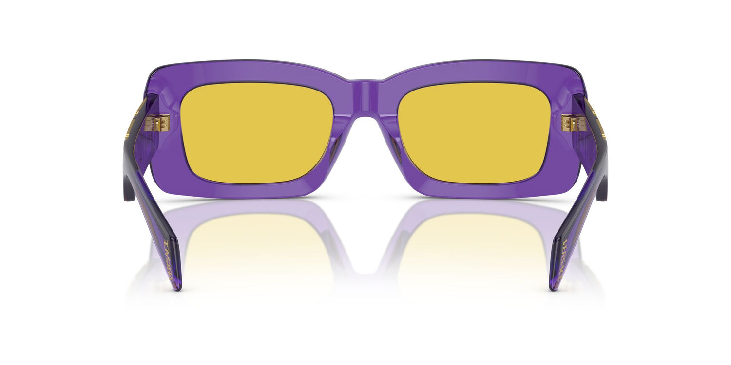 VERSACE VE4444U 5408V9 54