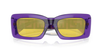 VERSACE VE4444U 5408V9 54