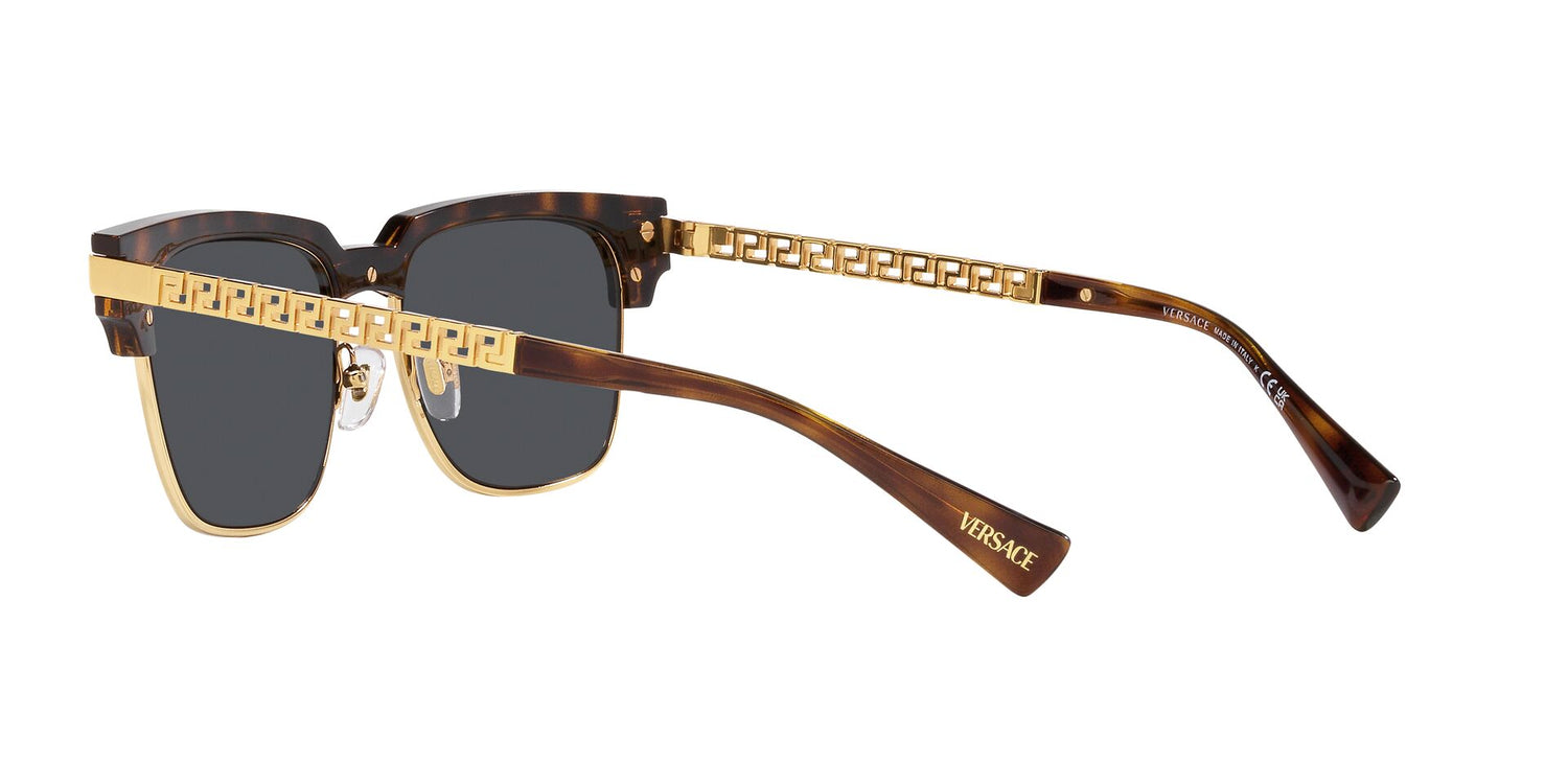 VERSACE VE4447 108/87 55