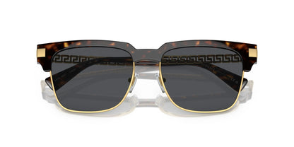 VERSACE VE4447 108/87 55