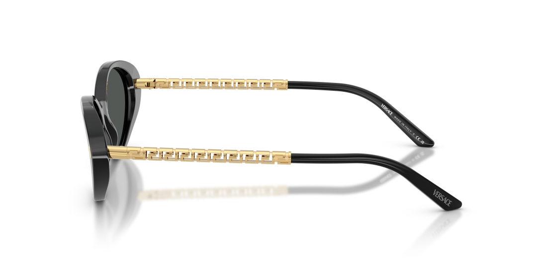VERSACE VE4469 GB1/87 54