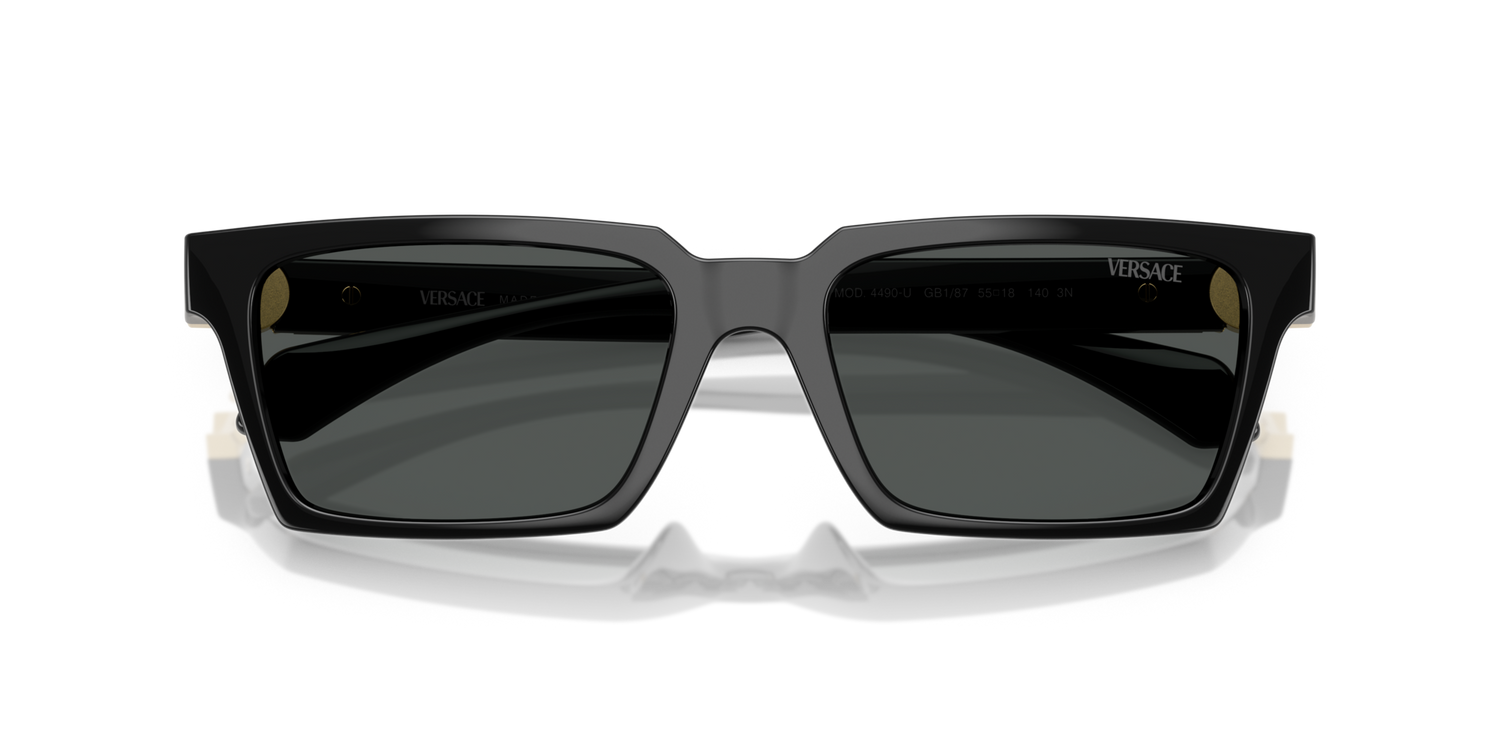 VERSACE VE4490U GB1/87 55