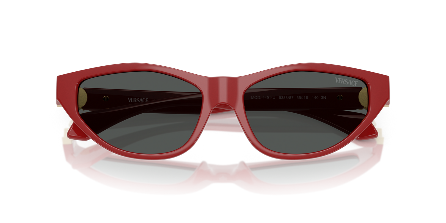 VERSACE VE4491U 538887 55