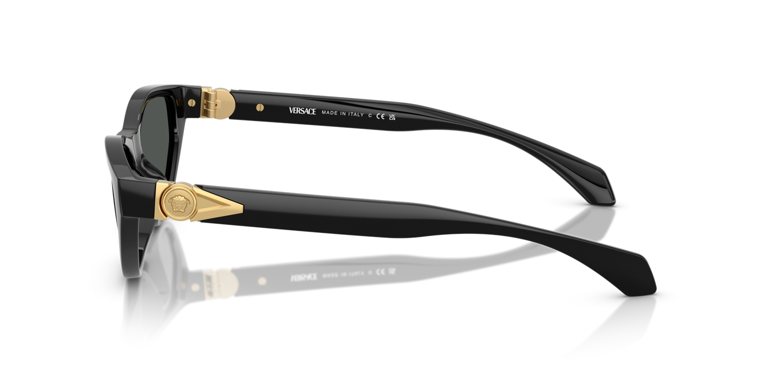 VERSACE VE4491U GB1/87 55