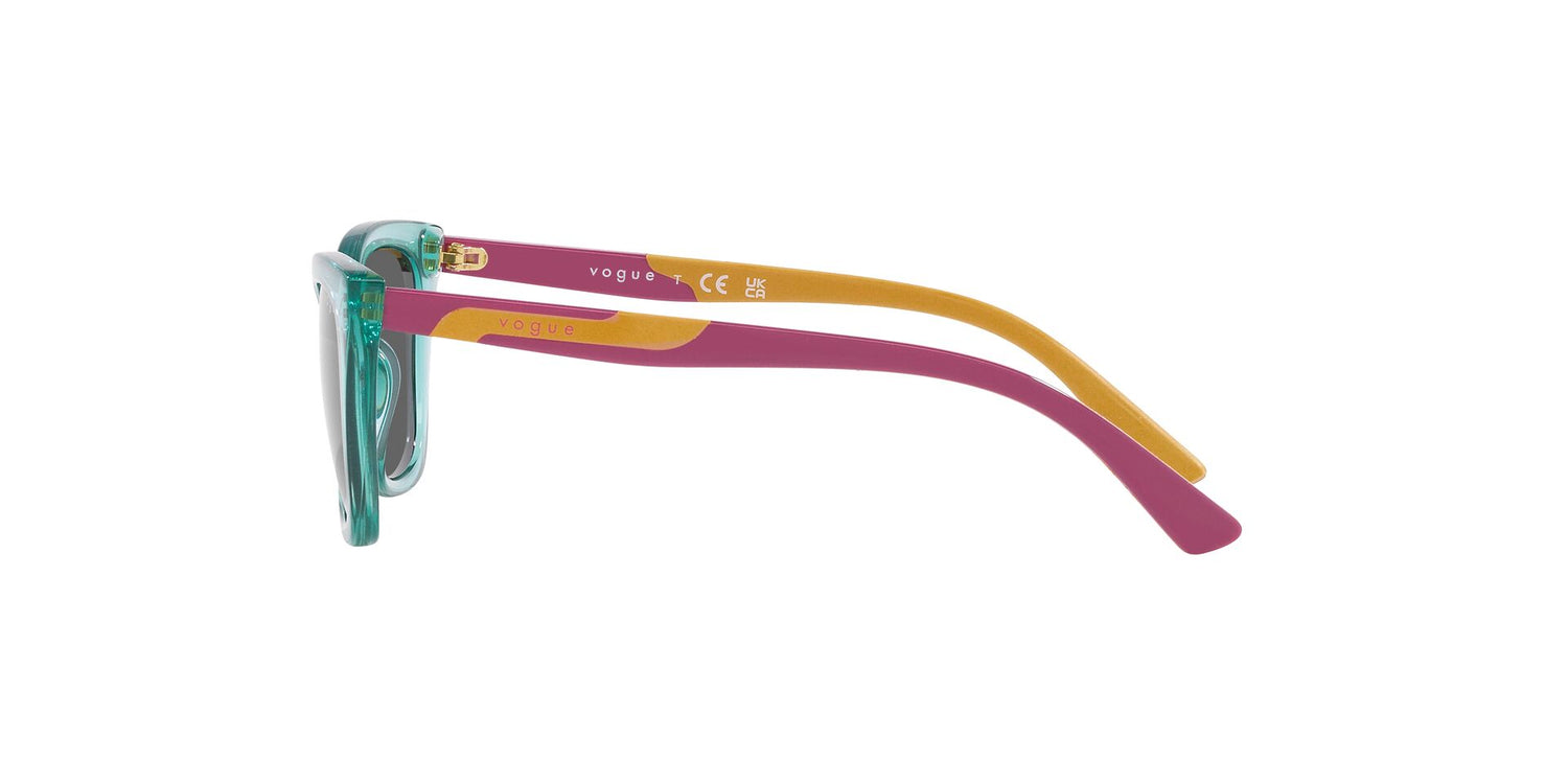 VOGUE EYEWEAR VJ2020 303287 48