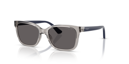 VOGUE EYEWEAR VJ2027 272687 49