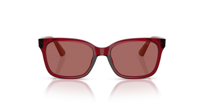 VOGUE EYEWEAR VJ2027 306669 49