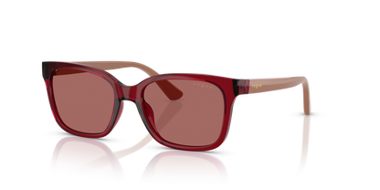 VOGUE EYEWEAR VJ2027 306669 49