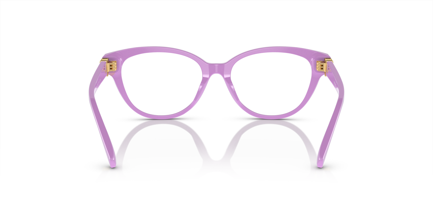 VERSACE VK3004 5424 48