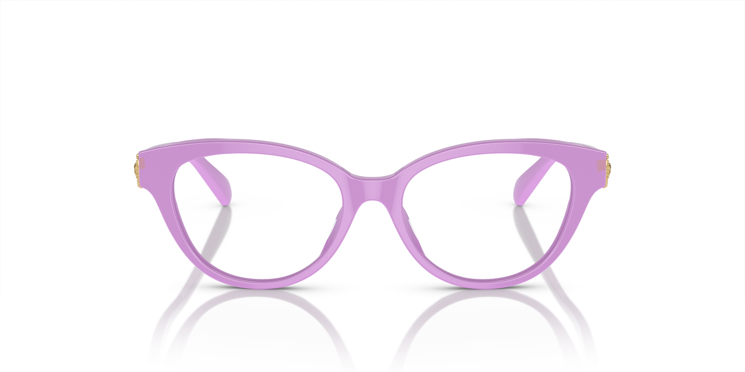 VERSACE VK3004 5424 48