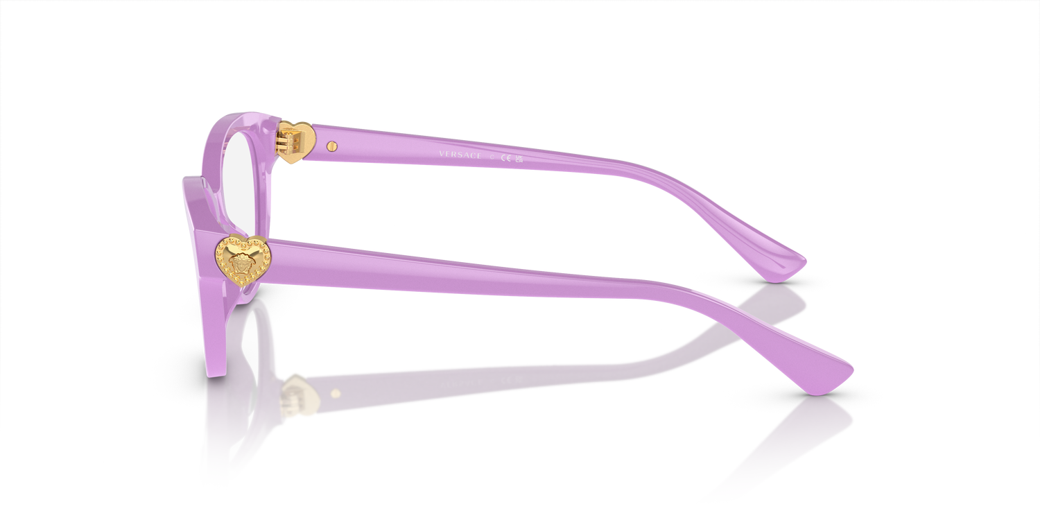 VERSACE VK3004 5424 48
