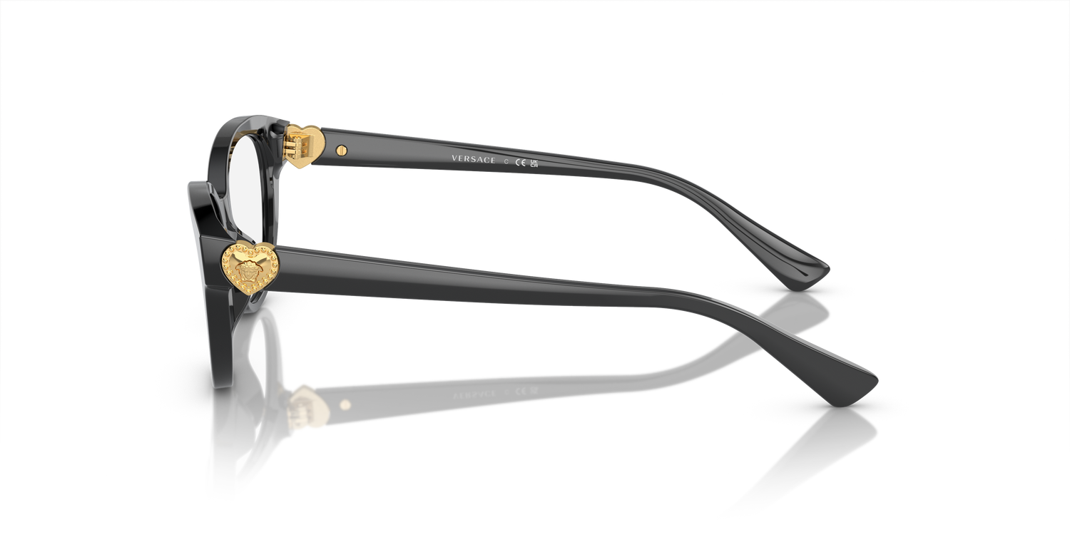 VERSACE VK3004 GB1 48