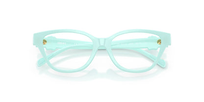 VERSACE VK3011U 5528 49