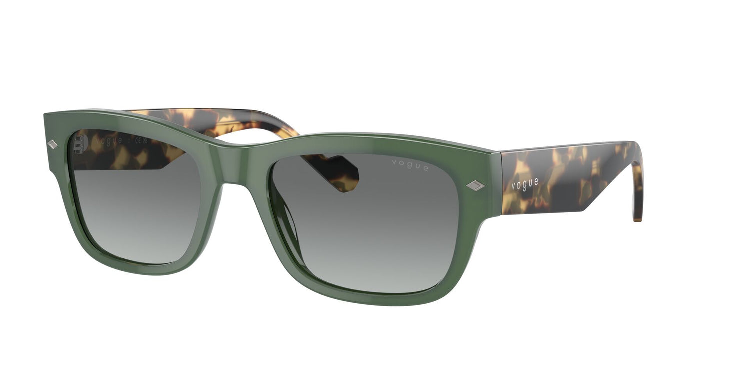 VOGUE EYEWEAR VO5530S 309211 55