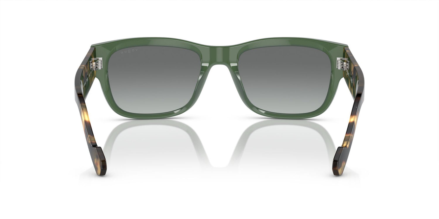 VOGUE EYEWEAR VO5530S 309211 55