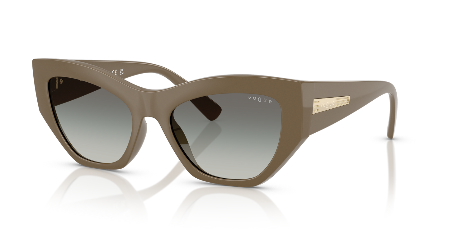 VOGUE EYEWEAR VO5607S 317511 53