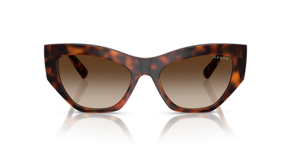 VOGUE EYEWEAR VO5607S W65613 53
