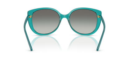 VOGUE EYEWEAR VO5623S 319111 55