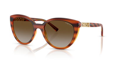 VOGUE EYEWEAR VO5634SB 1508T5 53