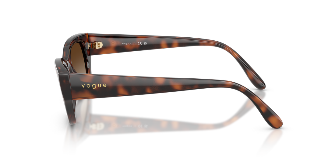 VOGUE EYEWEAR VO5669S 271813 54