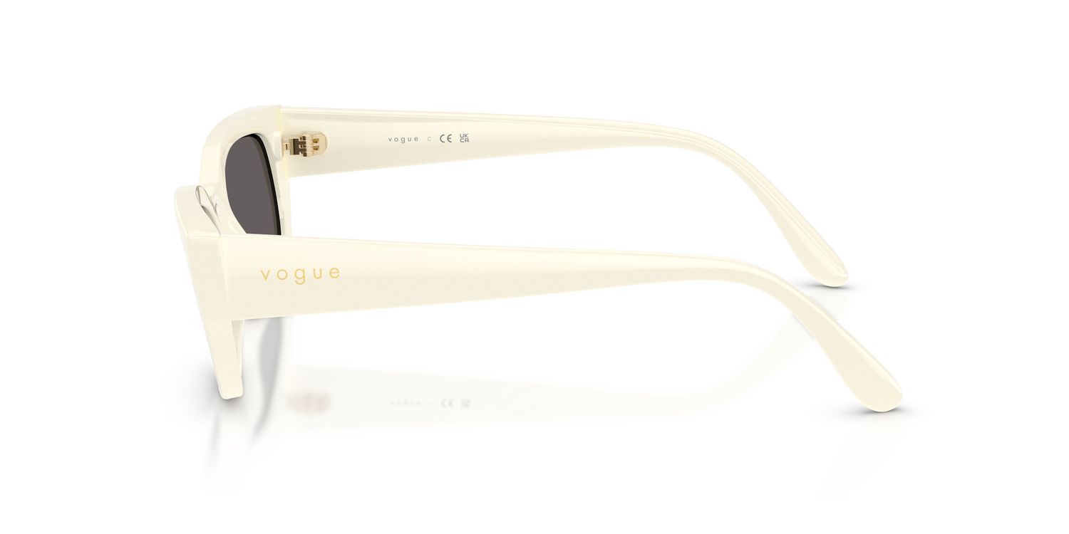 VOGUE EYEWEAR VO5669S 316787 54