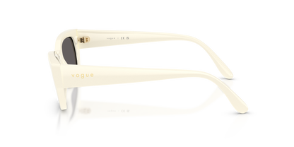 VOGUE EYEWEAR VO5669S 316787 54