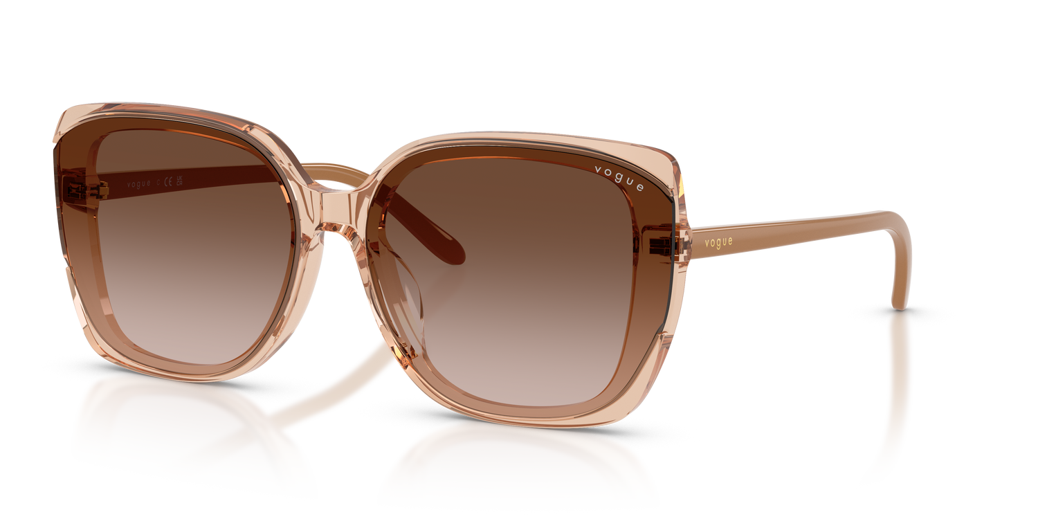 VOGUE EYEWEAR VO5684SD 318113 65