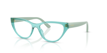 VOGUE EYEWEAR VY2035 3192 51