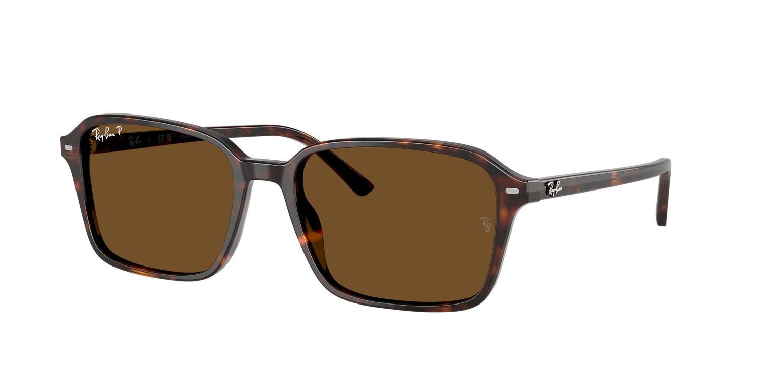 RAY-BAN RB2231 RAIMOND 902/57 56