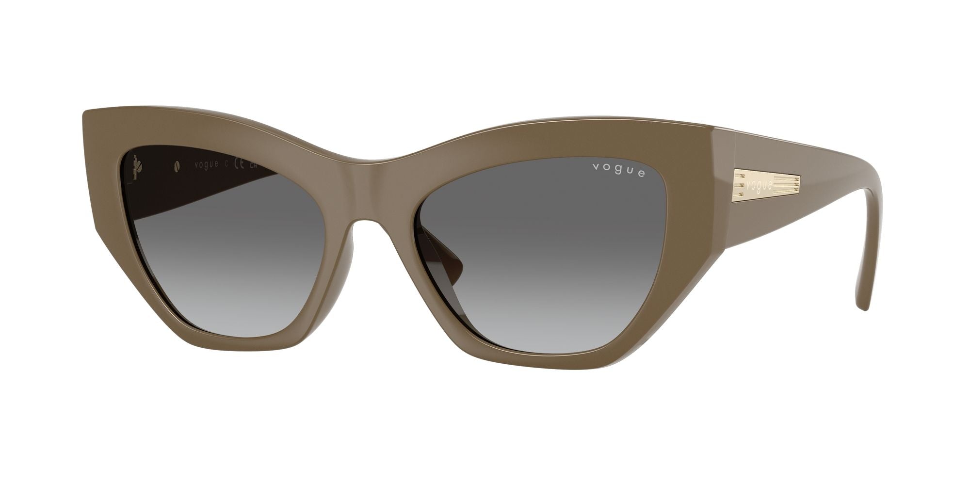 VOGUE EYEWEAR VO5607S 317511 53