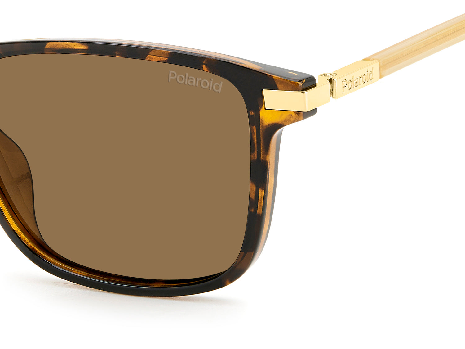 POLAROID PLD 4169/G/S/X 086 SP 54