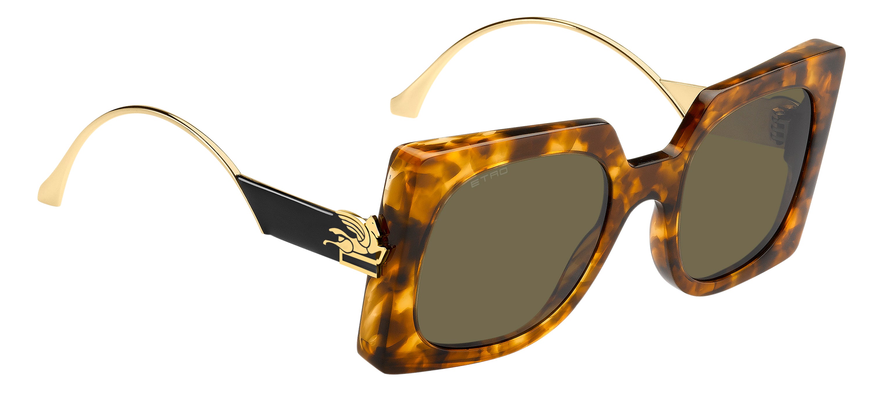 ETRO 0026/S EPZ QT 54