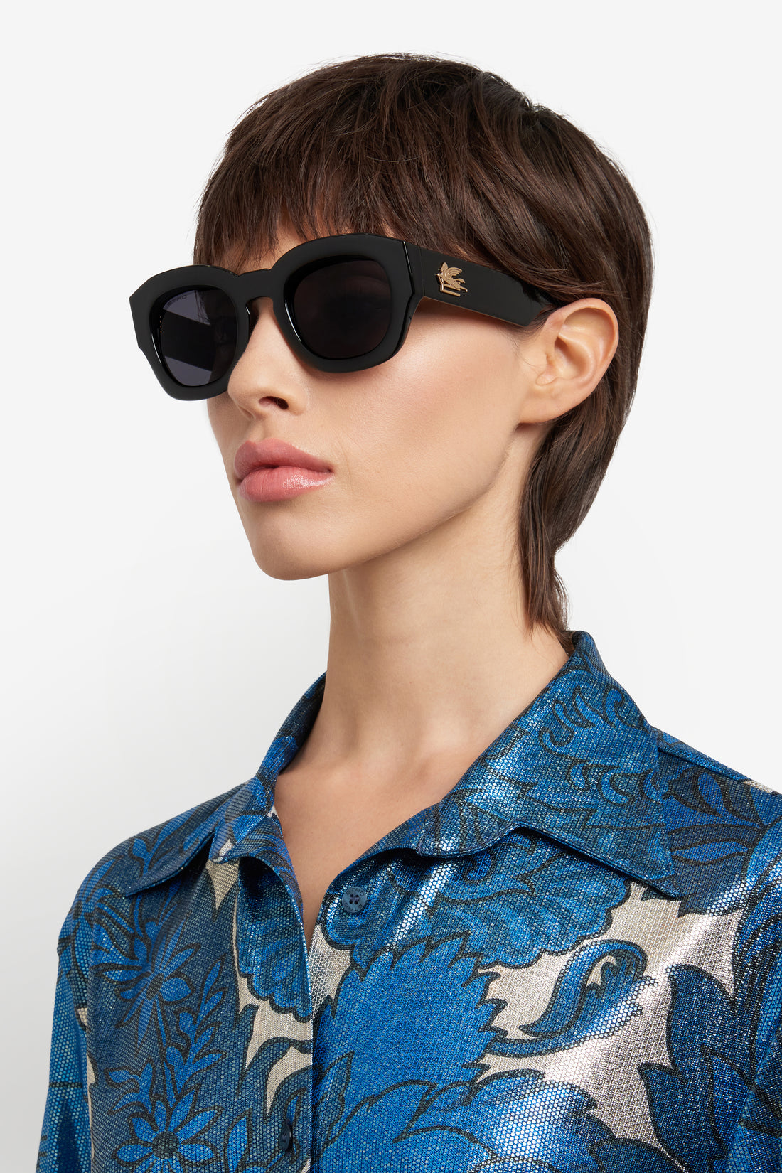 ETRO 0079/S 807 IR 50