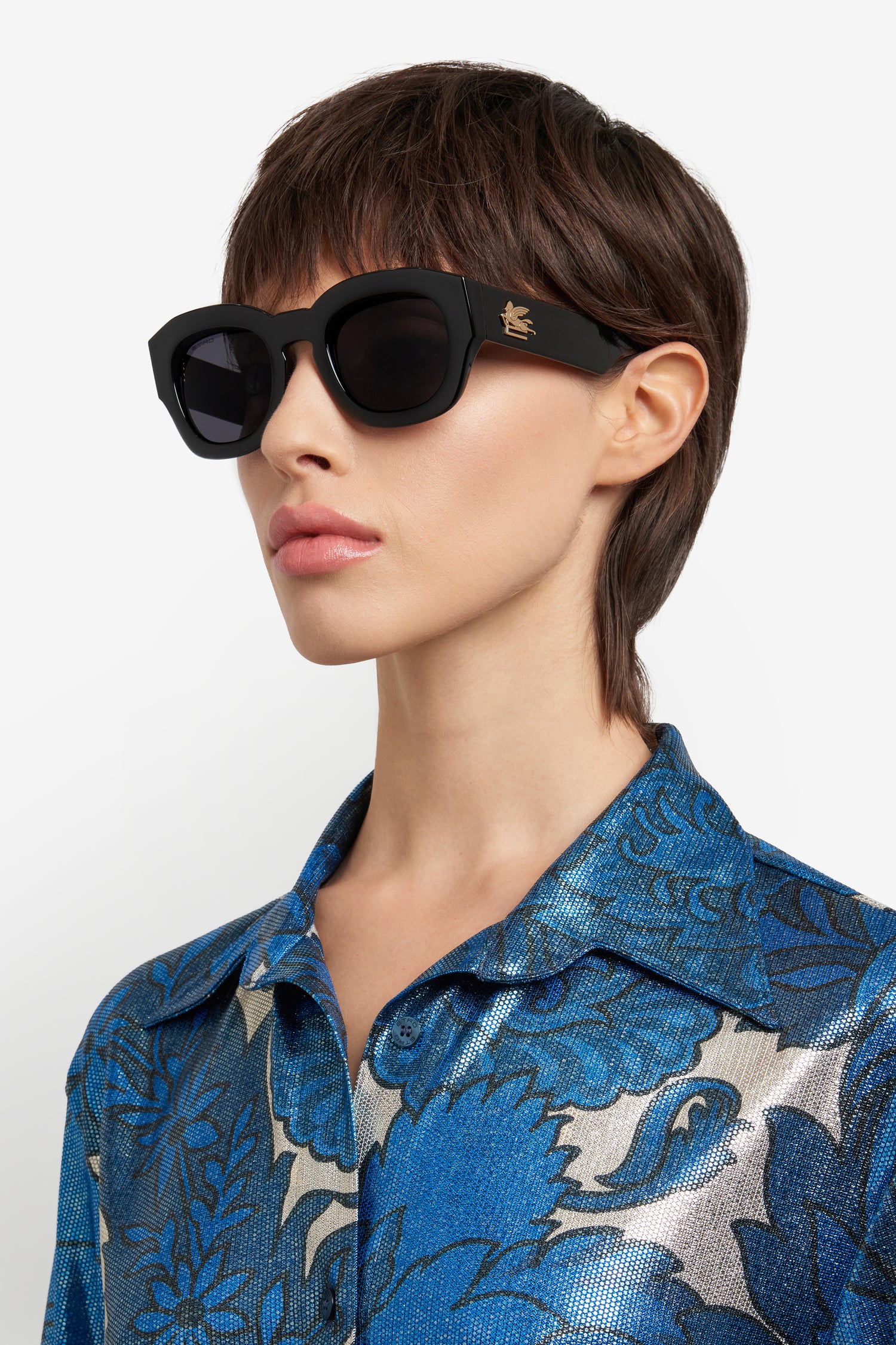 ETRO 0079/S 807 IR 50