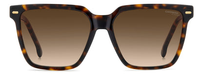 CARRERA 3069/S 086 HA 57