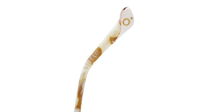 ETNIA BARCELONA SANTA ANA PKBE 50